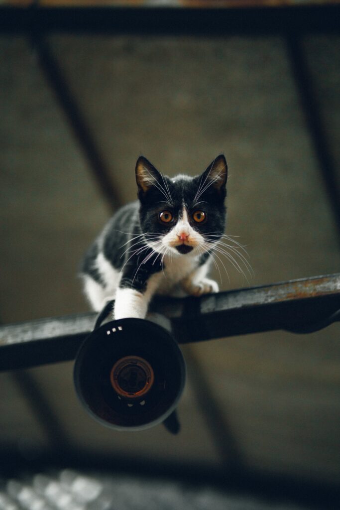 Hva Koster Det å Leve I Polen? Hva Koster Det å Leve I Polen?